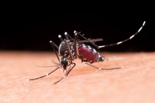 Waspada! Kini kasus DBD di Indonesia terus meningkat hingga menyebabkan kematian.